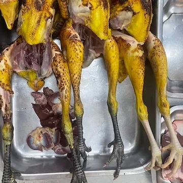 Image of: Mpdhanya Sri Mutton And Chicken Stall In Madurai
