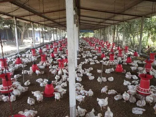 Image of: Oa Boseappa Farms In Palamedu 2