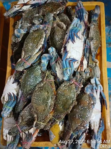 Image of: Psa Fish Stall In Reserve Line