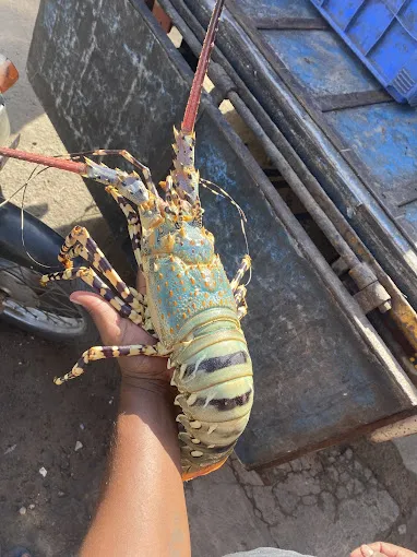 Image of: Sk Fish Market In Madurai 3