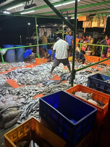 Image of: Sms Fish Commission Agent In Mattuthavani