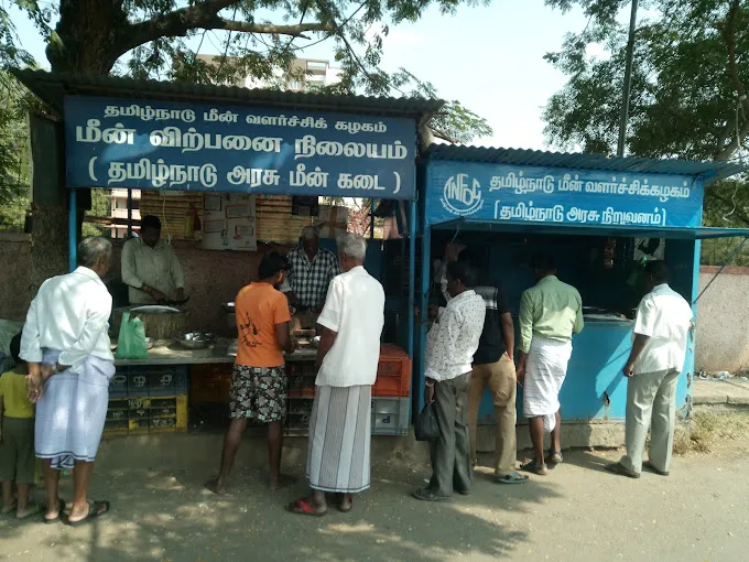 Image of: Tamil Nadu Arasu Fish Shop In Bibikulam