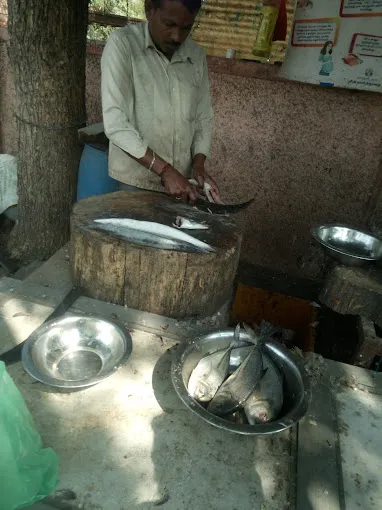 Image of: Tamil Nadu Arasu Fish Shop In Bibikulam 3
