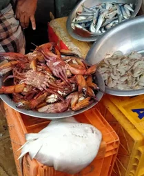 Image of: Fish Market In South Gate