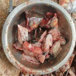 Image of: Karuppayurani Fish Market In Karuppayurani