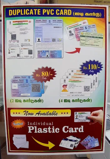 Image of: New Penguin Xerox In Periyar 7