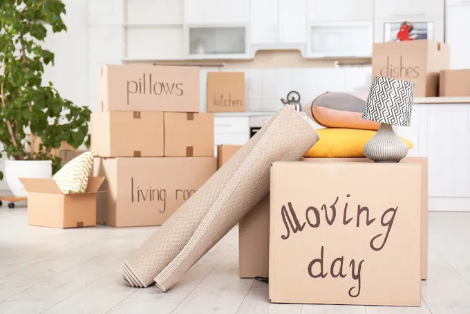 Image of: Thirumalai Packers And Movers In Kochadai 2