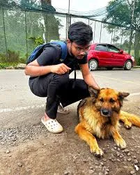 Image of: Aathil Pets In Madurai