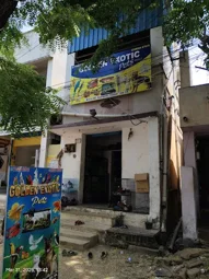 Image of: Golden Exotic Pets In Reserve Line