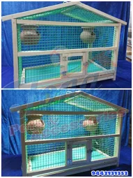 Image of: Jona Pets And Accessories In K Pudur