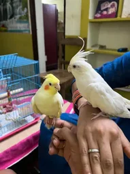 Image of: Lakshmi Farms And Aquarium In K Pudur