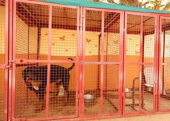 Image of: Nagarajan Pet Shop In Madurai