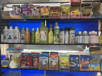 Image of: New Madurai Galaxy Pet S And Aquarium In Madurai