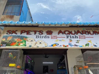 Image of: Sk Pets Aquarium In Madurai
