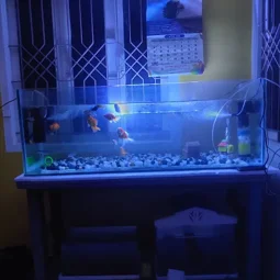 Image of: Smak Aquatics In Madurai