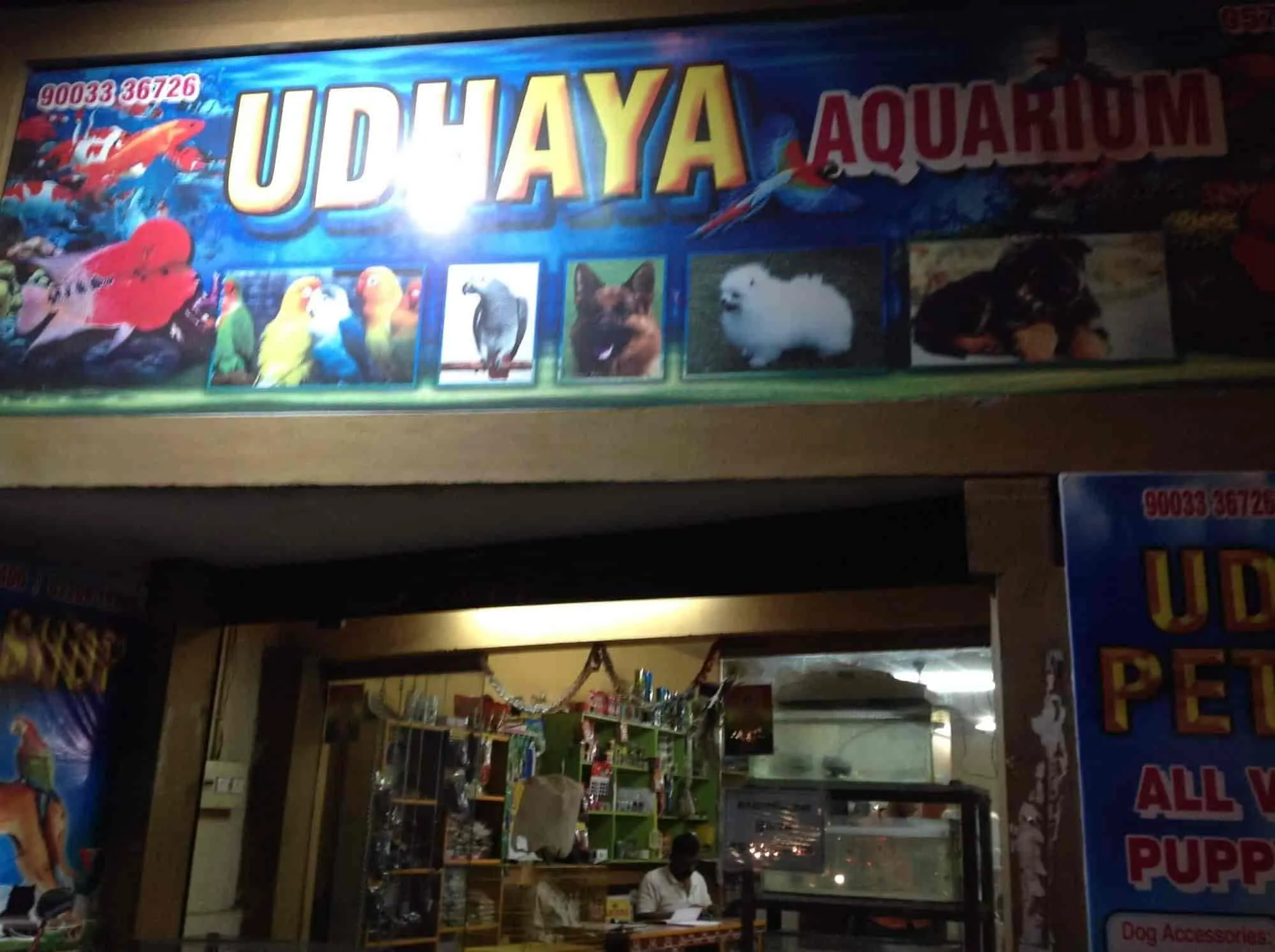 Image of: Udhaya Pet Shop In Thiruparankundram