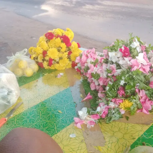 Image of: Annai Bharath Astro City in Kochadai