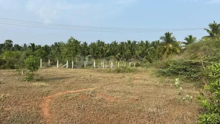 Image of: Antony Farm Land in Sakkimangalam