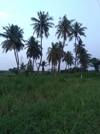 Image of: Anugraha Homes in Avaniyapuram 6