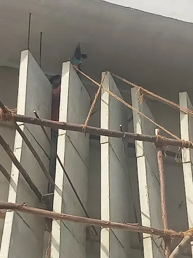 Image of: Kanmalai Builders in Madurai