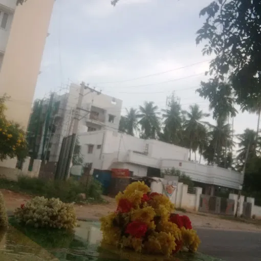 Image of: Mlm Kaustubha in Kochadai 2