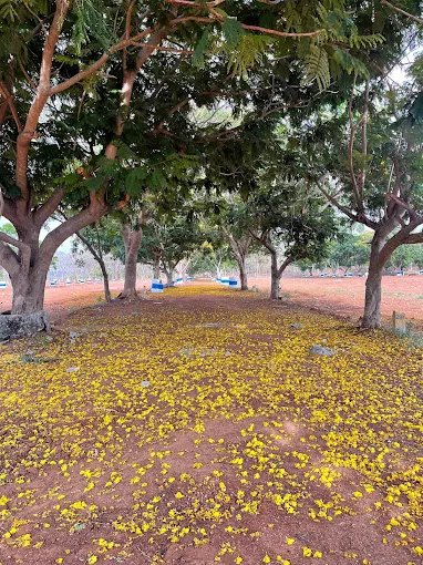 Image of: Siddarth Reals in Goripalayam 3