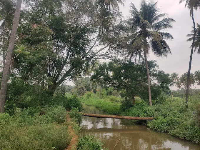Image of: Meenakshi Travels Tour in Madurai