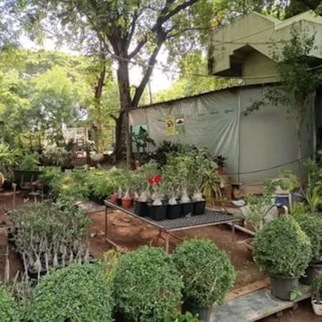 Image of: Raja Garden in Kochadai