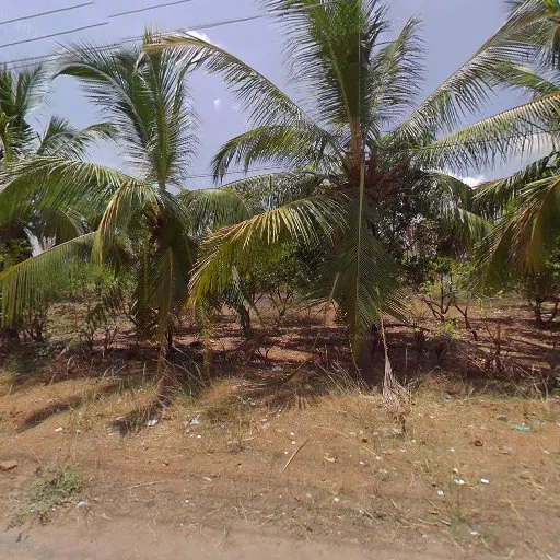 Image of: Alagar Malaiyan Hotel in Madurai 3