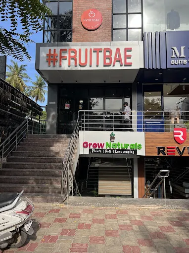 Image of: Fruitbae in Kk Nagar