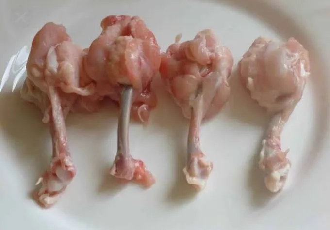 Image of: Msbroilers in Sellur 2