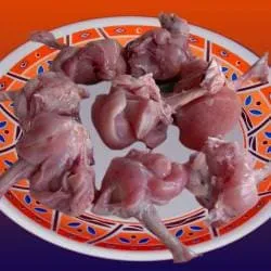 Image of: N S Broilers Chicken Shop in Jaihindpuram