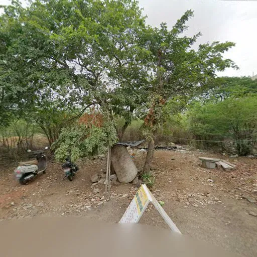 Image of: Vijaya Kalyani Mess in Ellis Nagar