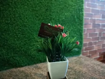 Image of: Arusuvai Poonga in Jaihindpuram