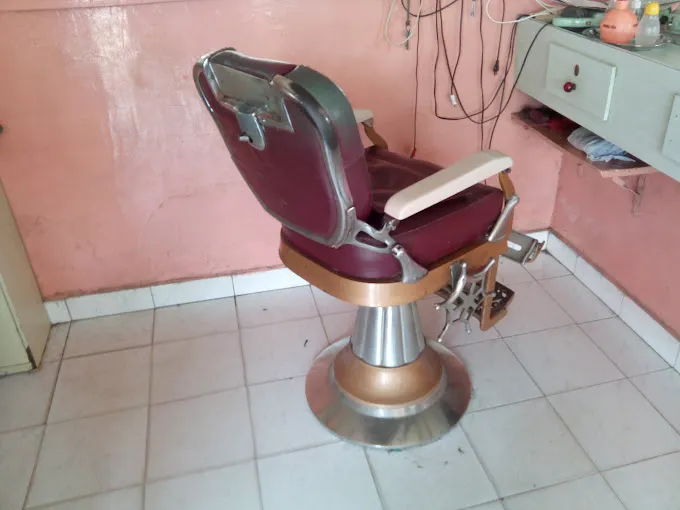 Image of: New Green Saloon in Iyer Bungalow