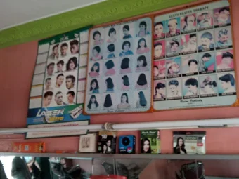 Image of: New Green Saloon in Iyer Bungalow