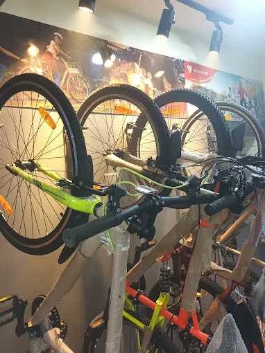 Image of: Ls Cycles In Reserve Line 4