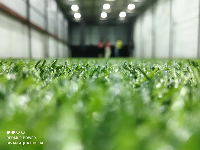 Image of: Sivan Cricket Academy In Teppakulam 2
