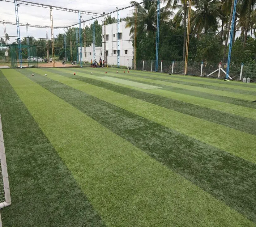 Image of: Hit And Run Turf In Madurai