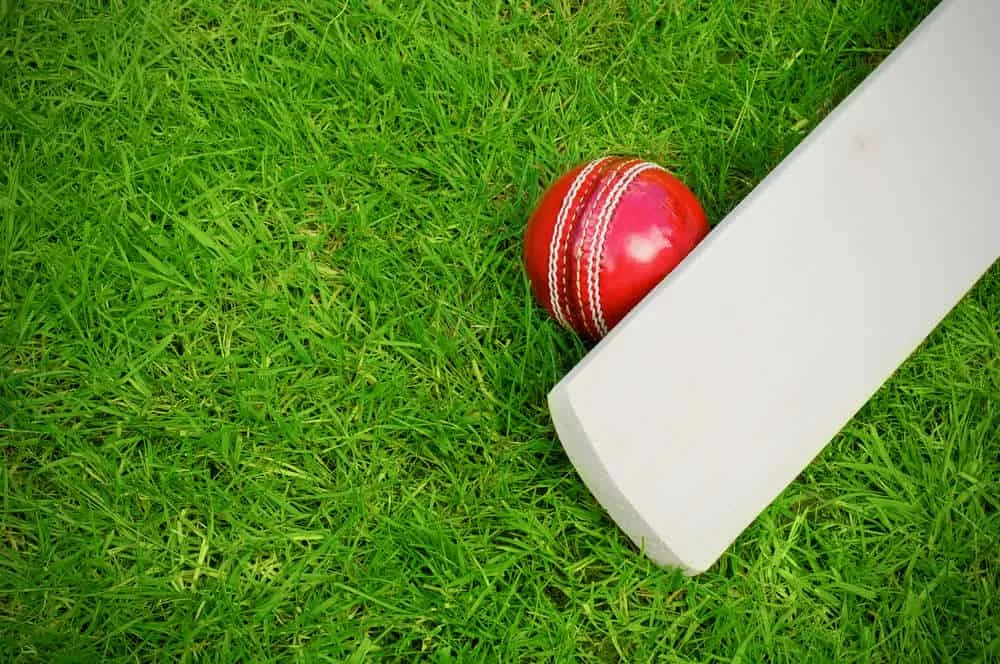 Image of: Jee International Cricket Stadium In Madurai