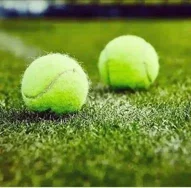 Image of: Tennis Court In Reserve Line