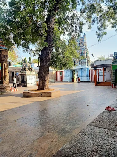 Image of: Arulmigu Prasanna Venkatachalapathi Temple In Tallakulam 5