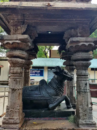 Image of: Arulmigu Sri Muktheeswarar Temple In Teppakulam 6