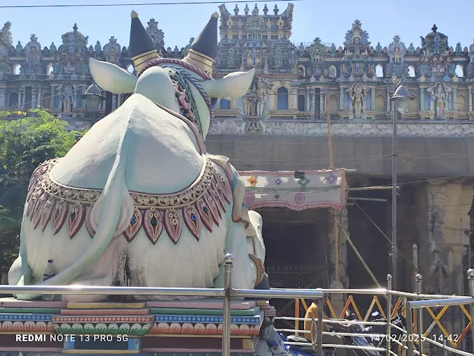Image of: Meenakshi Sundareshwarar Temple In Madurai 2