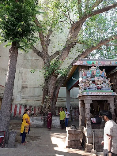 Image of: Thenthiru Aalavaayasami Thirukovil In Mahal