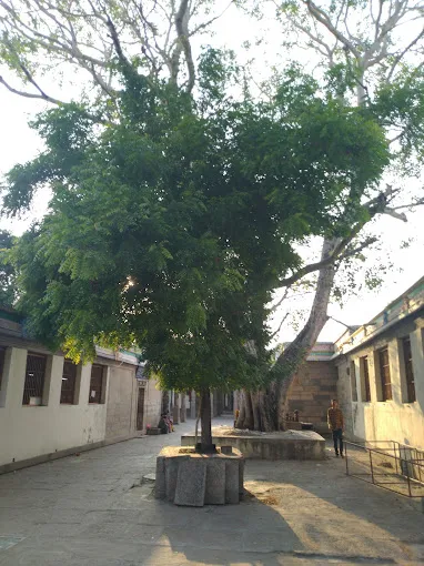 Image of: Thiru Aappudaiyar Kovil In Sellur 4