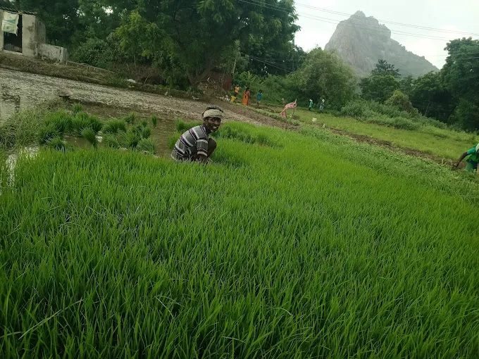 Image of: Muthalammam Kovil In Madurai