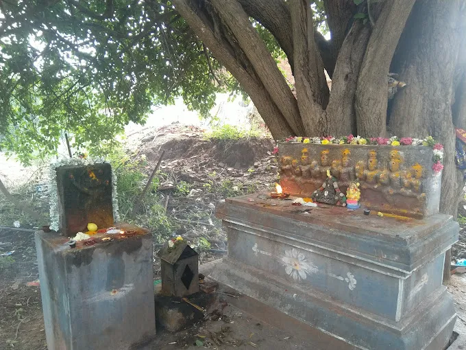 Image of: Sri Veeratteesvarar Periyandavar Temple In Kochadai 5