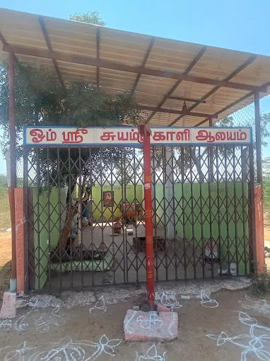 Image of: Suyambu Kalliamman Arulvakku In Sakkimangalam