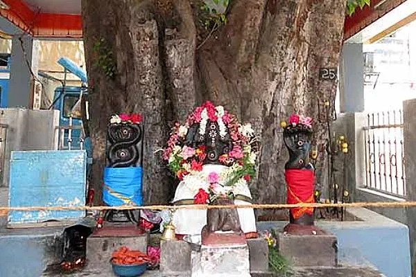 Image of: Arasamaram Vinayagar Kovil In Sakkimangalam